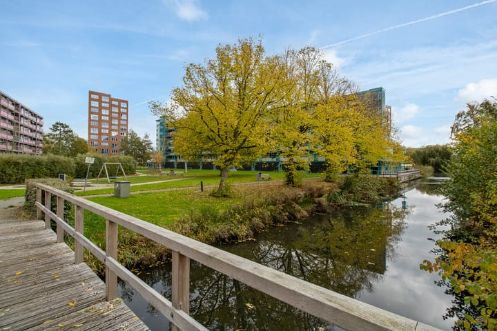 Photo 33 of Iepenschans 40