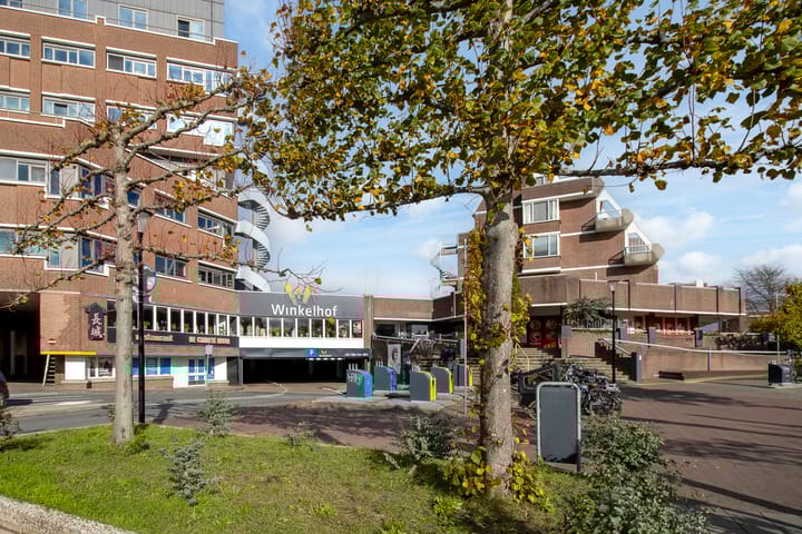 Photo 34 of Iepenschans 40