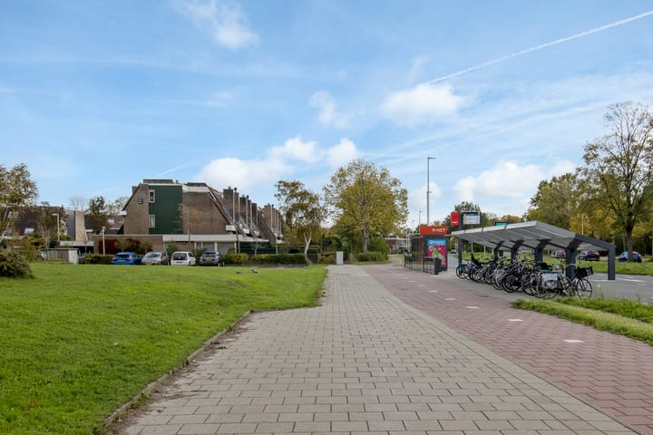 Photo 36 of Iepenschans 40