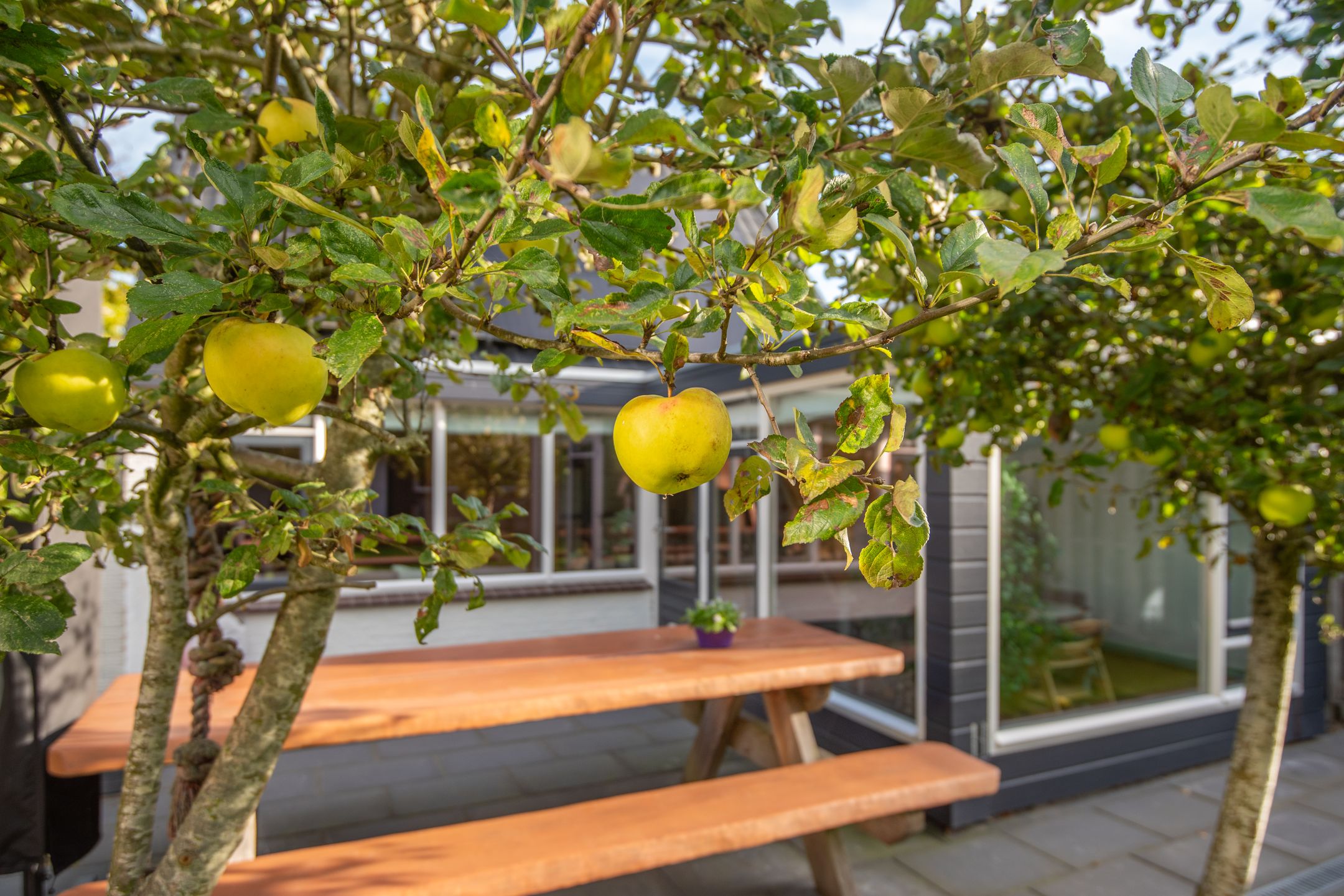 Foto 36 van Ligthof 16