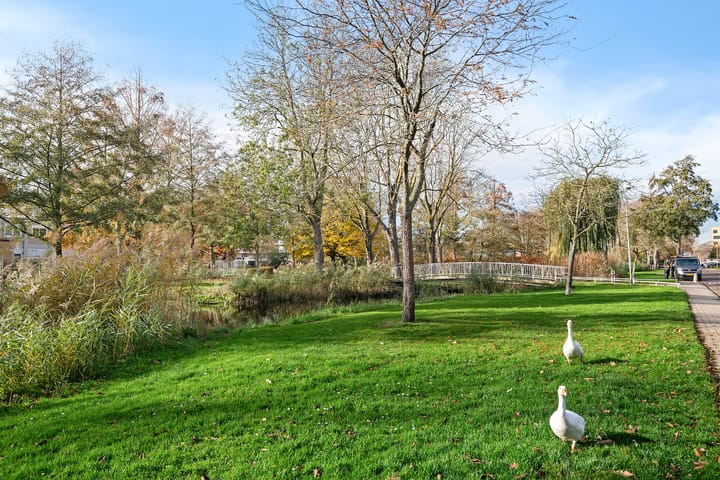 Foto 4 van Hillinenweg 74