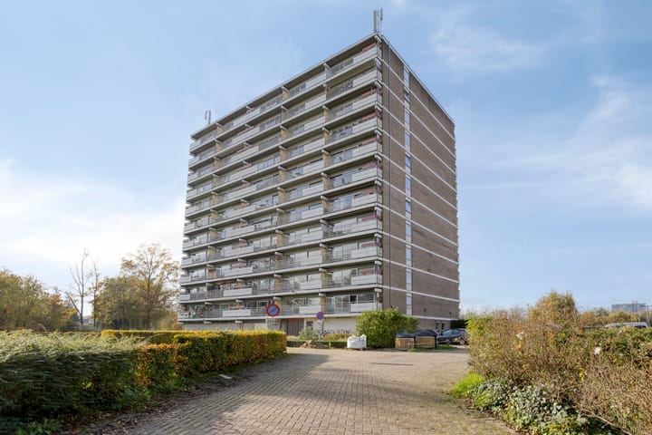 Aalscholversingel 462