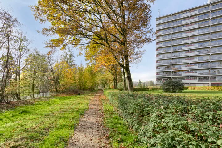 Photo 19 of Aalscholversingel 462