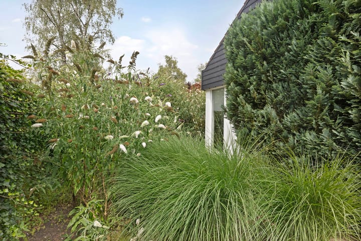 Photo 57 of Stuthoflanden 5