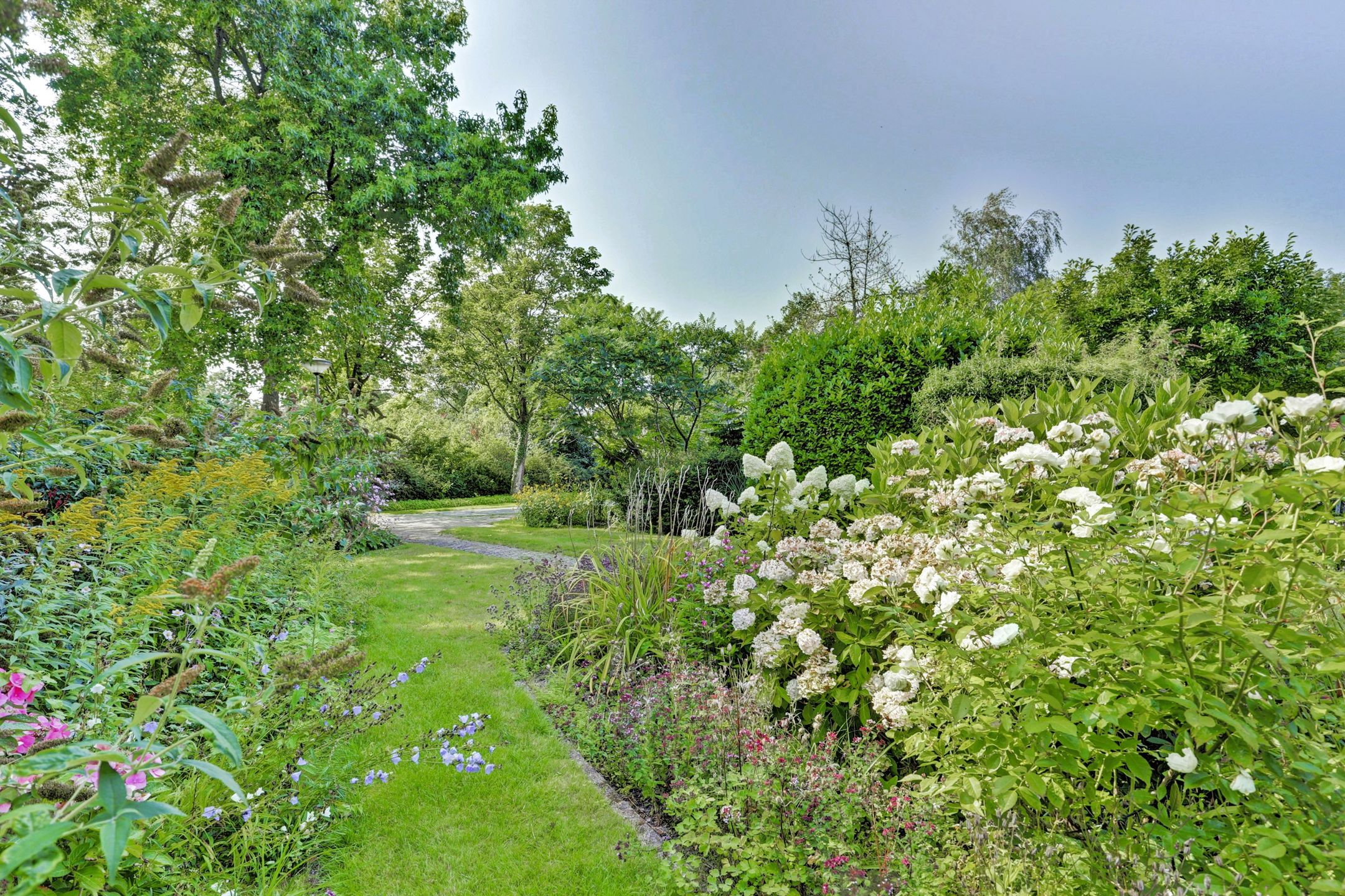 Photo 6 of Koperwiek 17