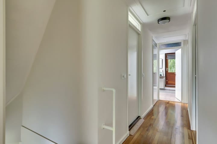 Foto 31 van Koperwiek 17