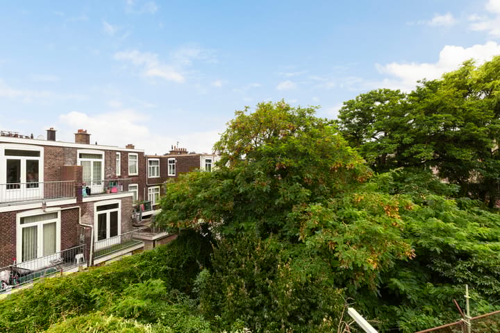 Foto 29 van Frans Halsstraat 48