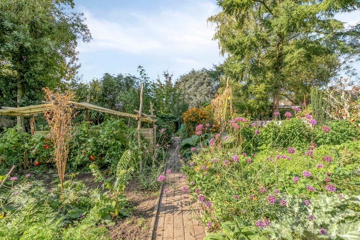 Photo 41 of het Zand 5