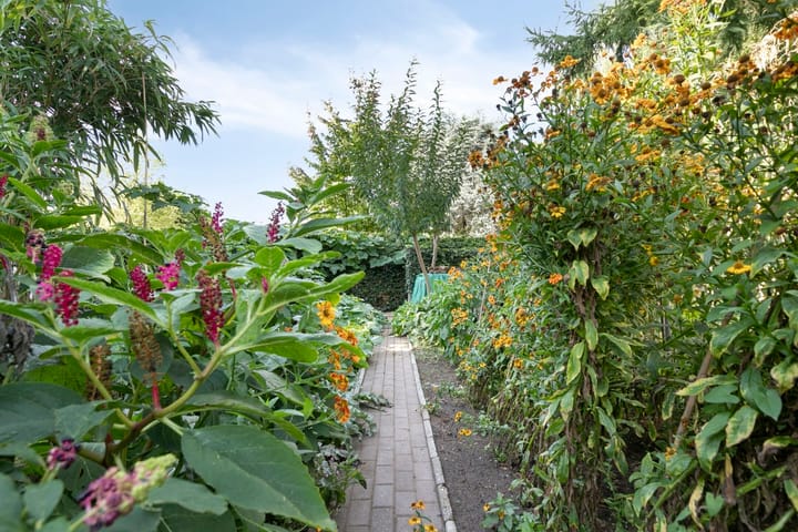 Photo 42 of het Zand 5