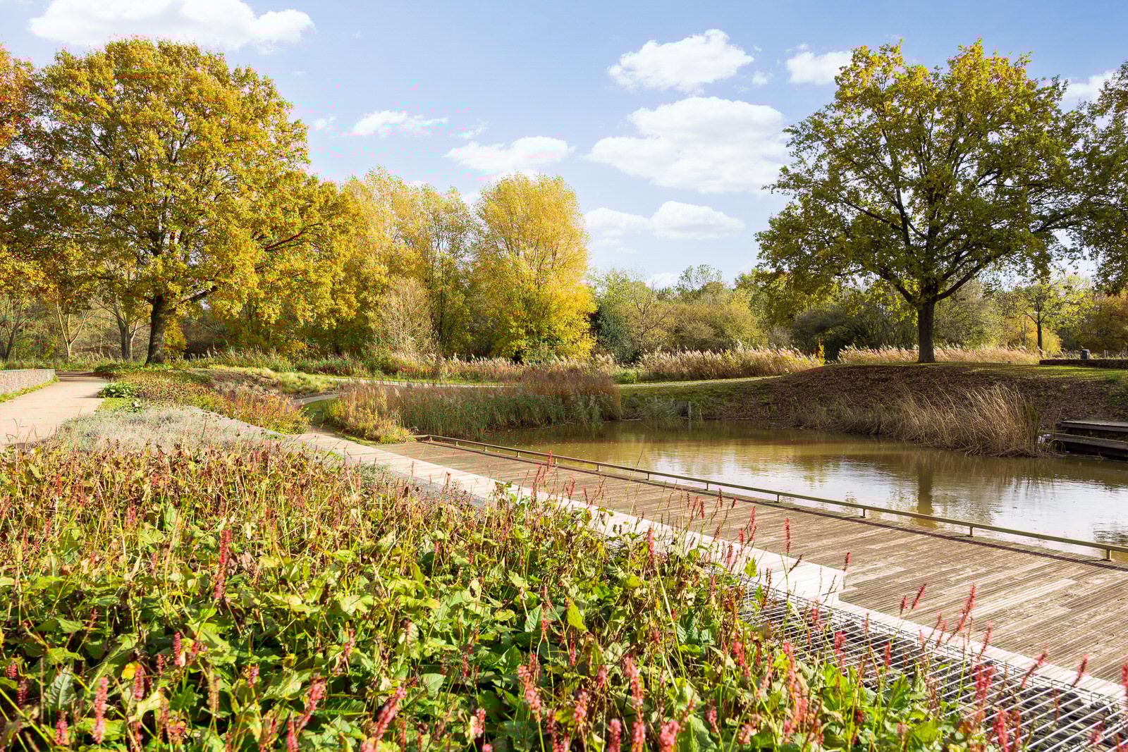 Foto 54 van Banier 7-A