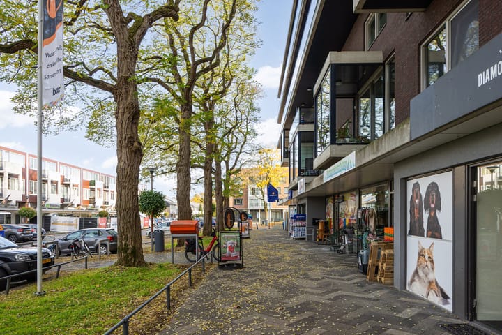 Foto 61 van Banier 7-A