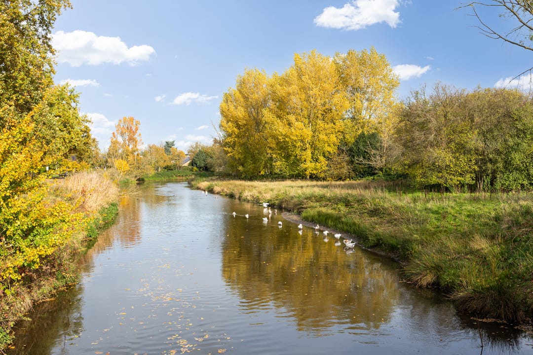 Foto 56 van Banier 7-A