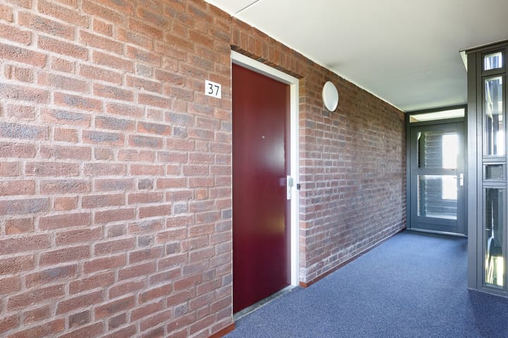 Photo 10 of Jerusalem 37