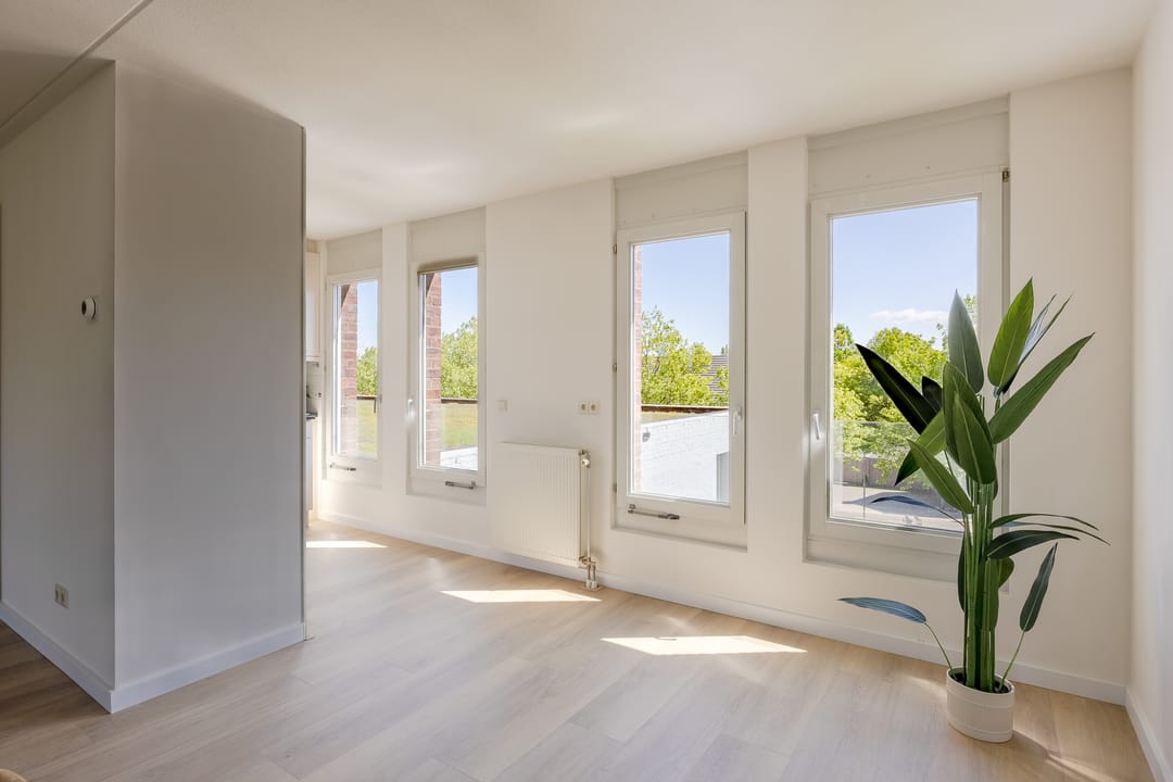 Foto 17 van Jerusalem 37