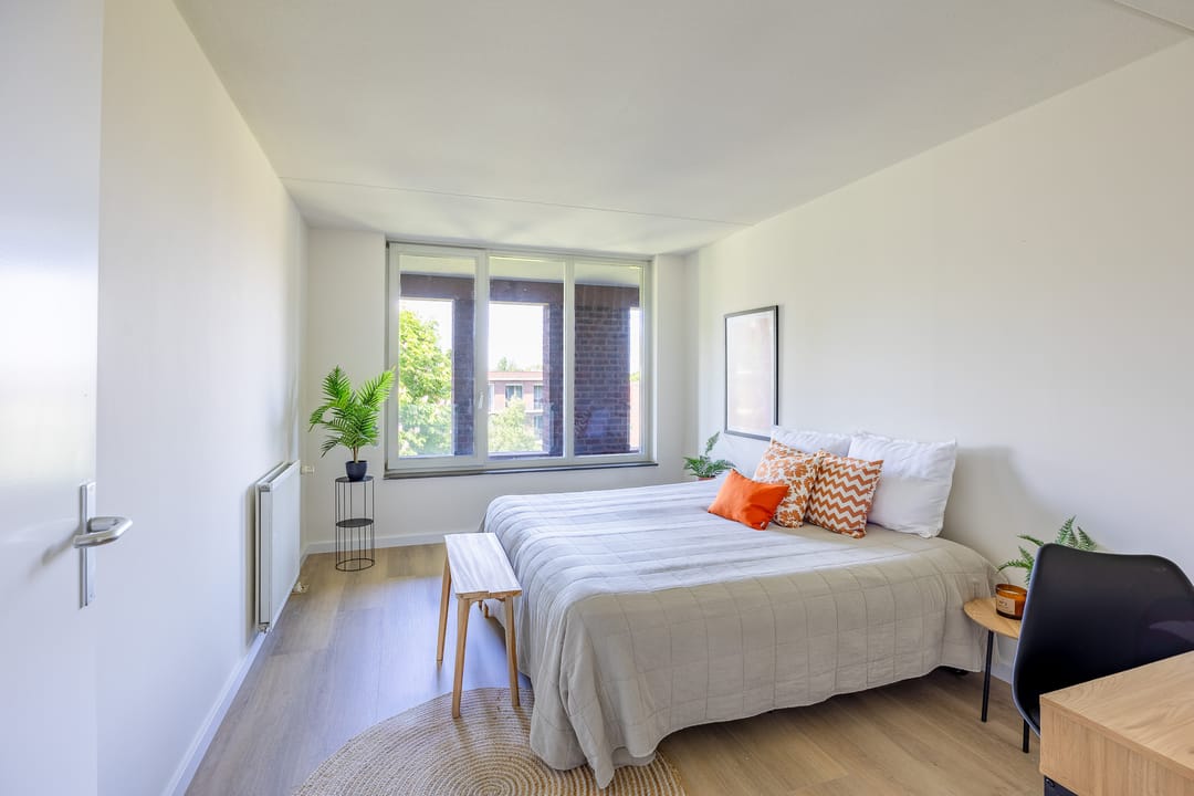 Foto 22 van Jerusalem 37