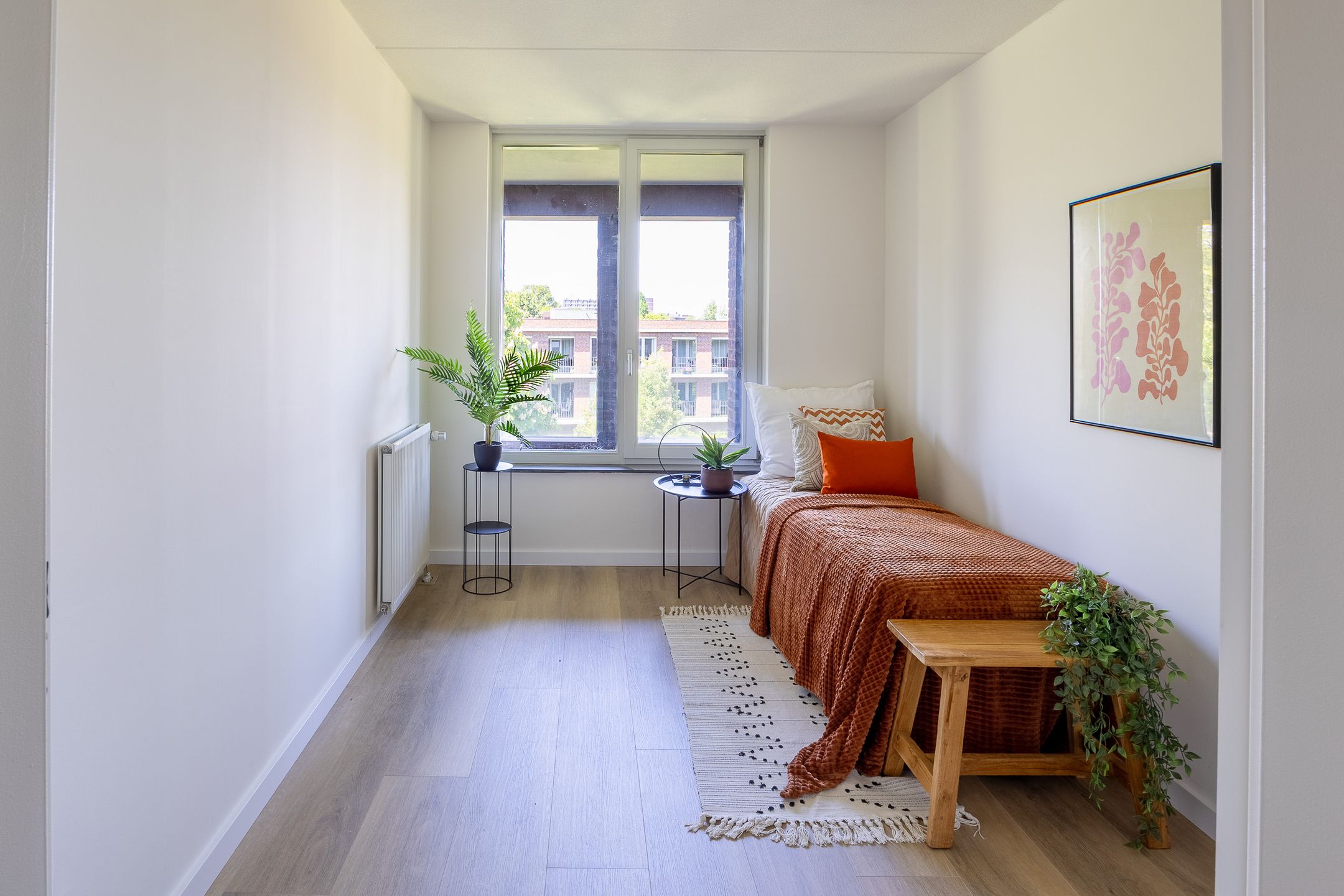 Foto 24 van Jerusalem 37