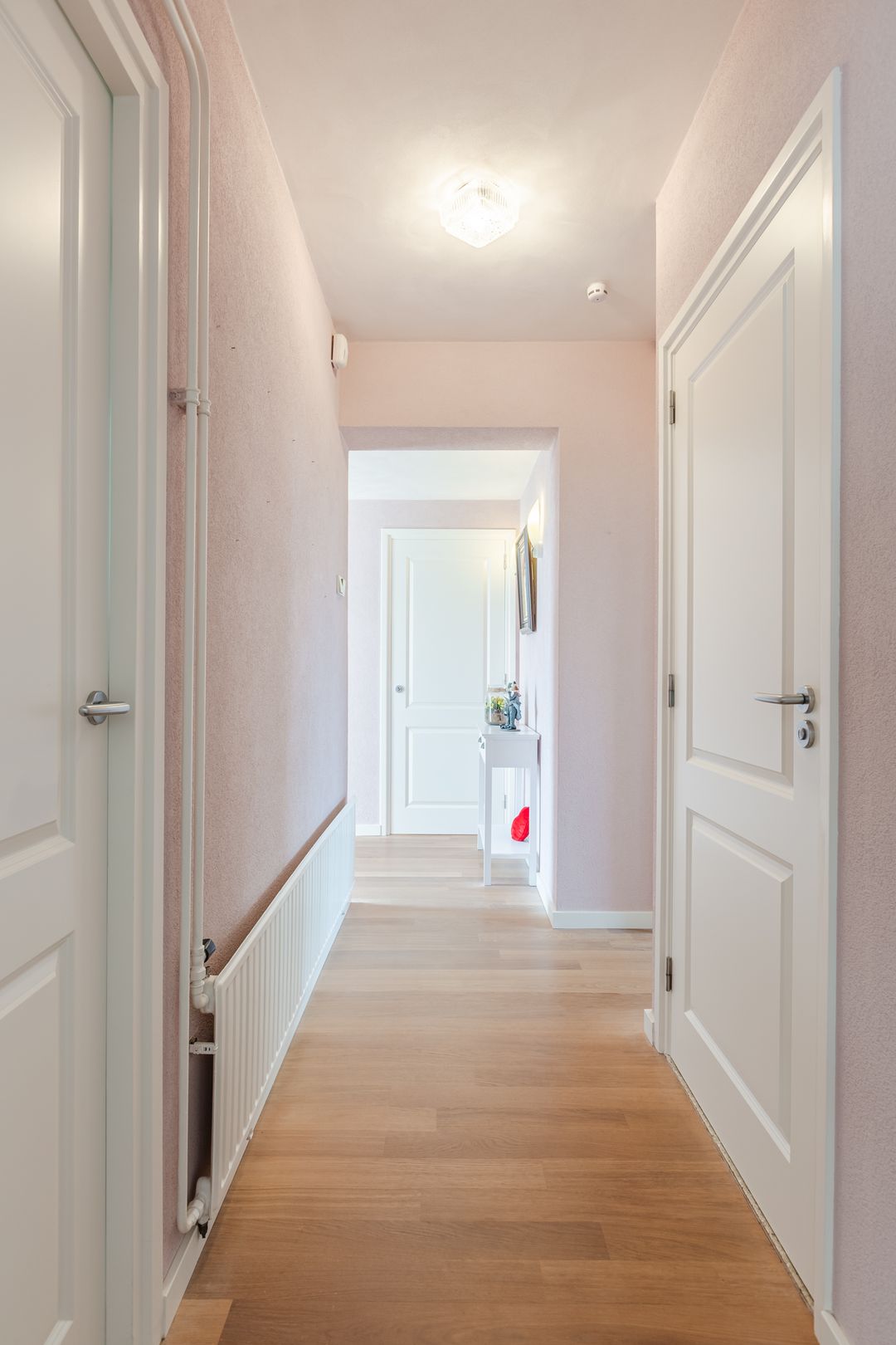 Foto 11 van Johann Strauszstraat 25