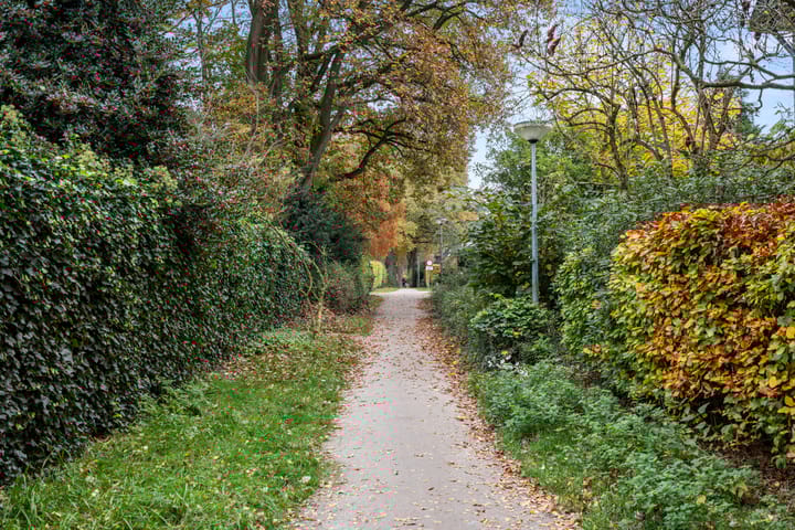 Photo 8 of Laan 1933 5-A