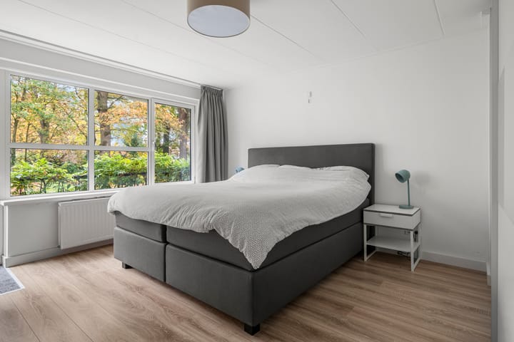 Photo 28 of Laan 1933 5-A