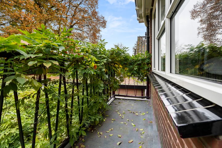 Photo 31 of Laan 1933 5-A