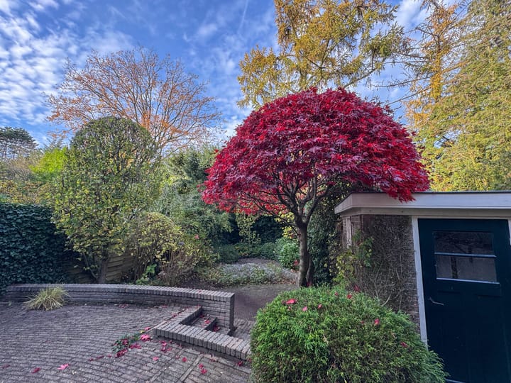 Foto 3 van Jacobus Bellamylaan 9