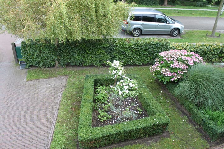 Foto 2 van Boswinde 185