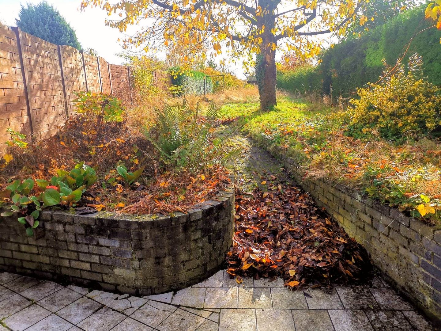 Photo 29 of Partijerweg 12