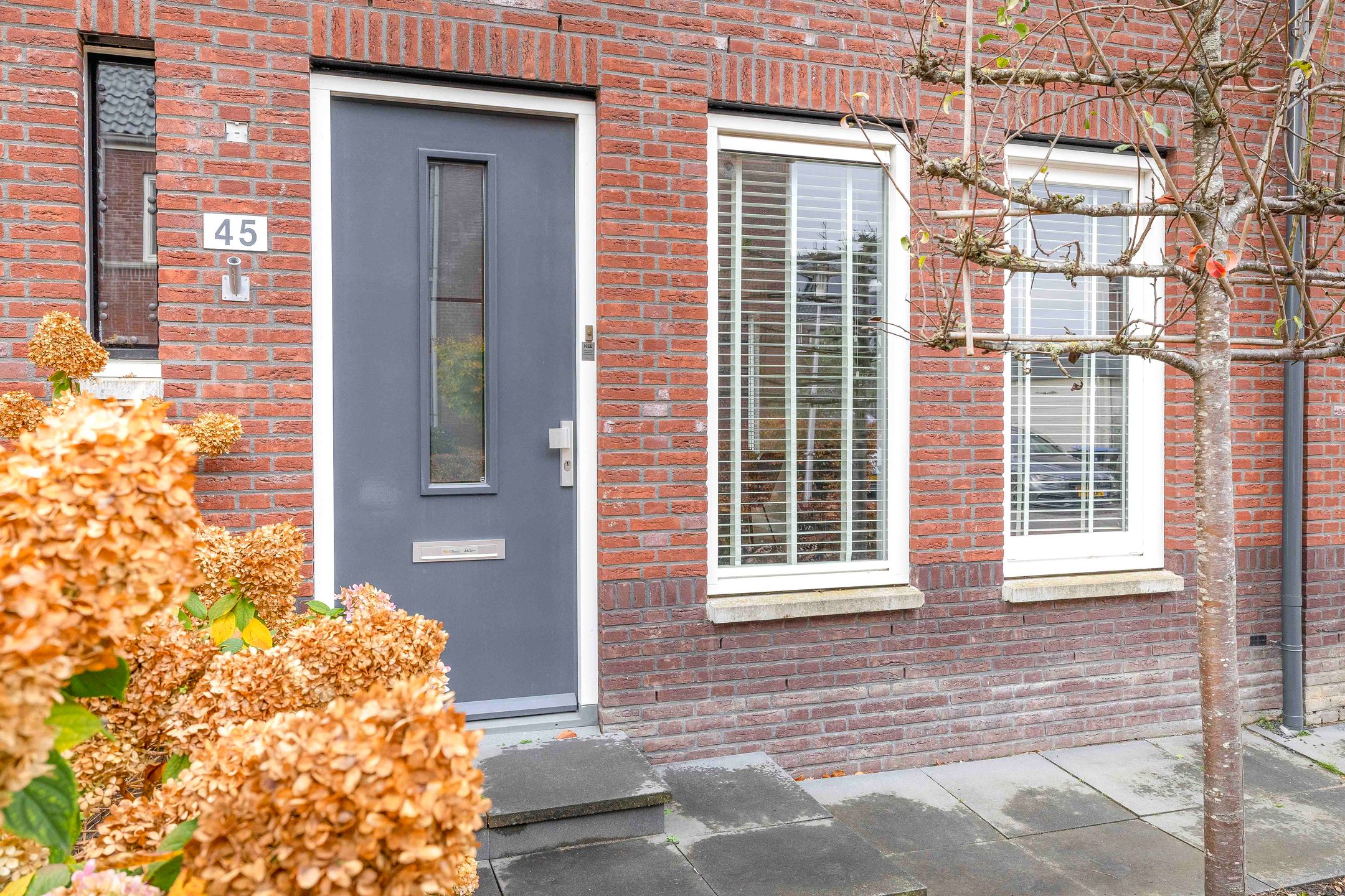 Foto 9 van De Eendracht 45