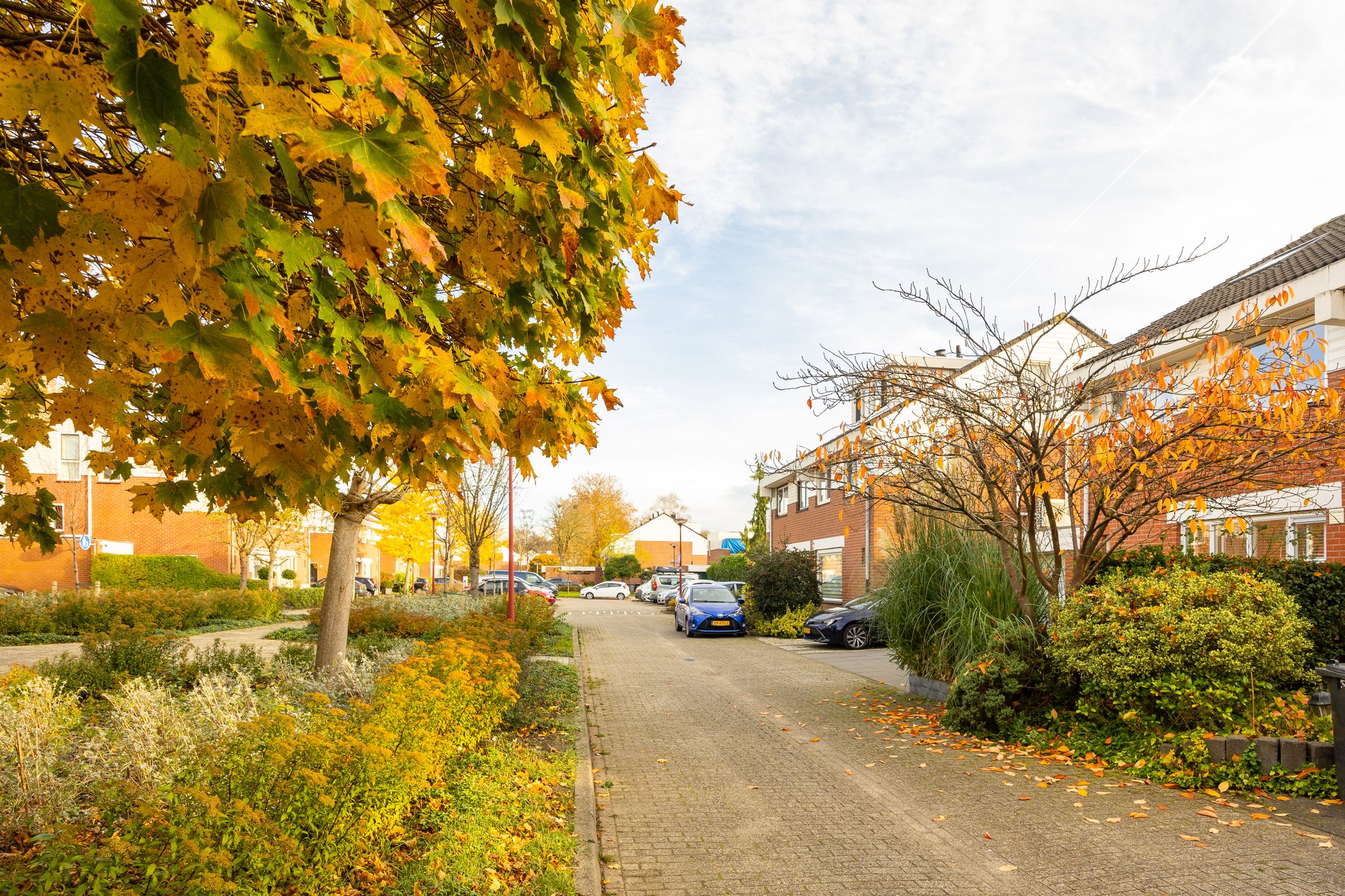 Foto 54 van Hermelijnweide 3