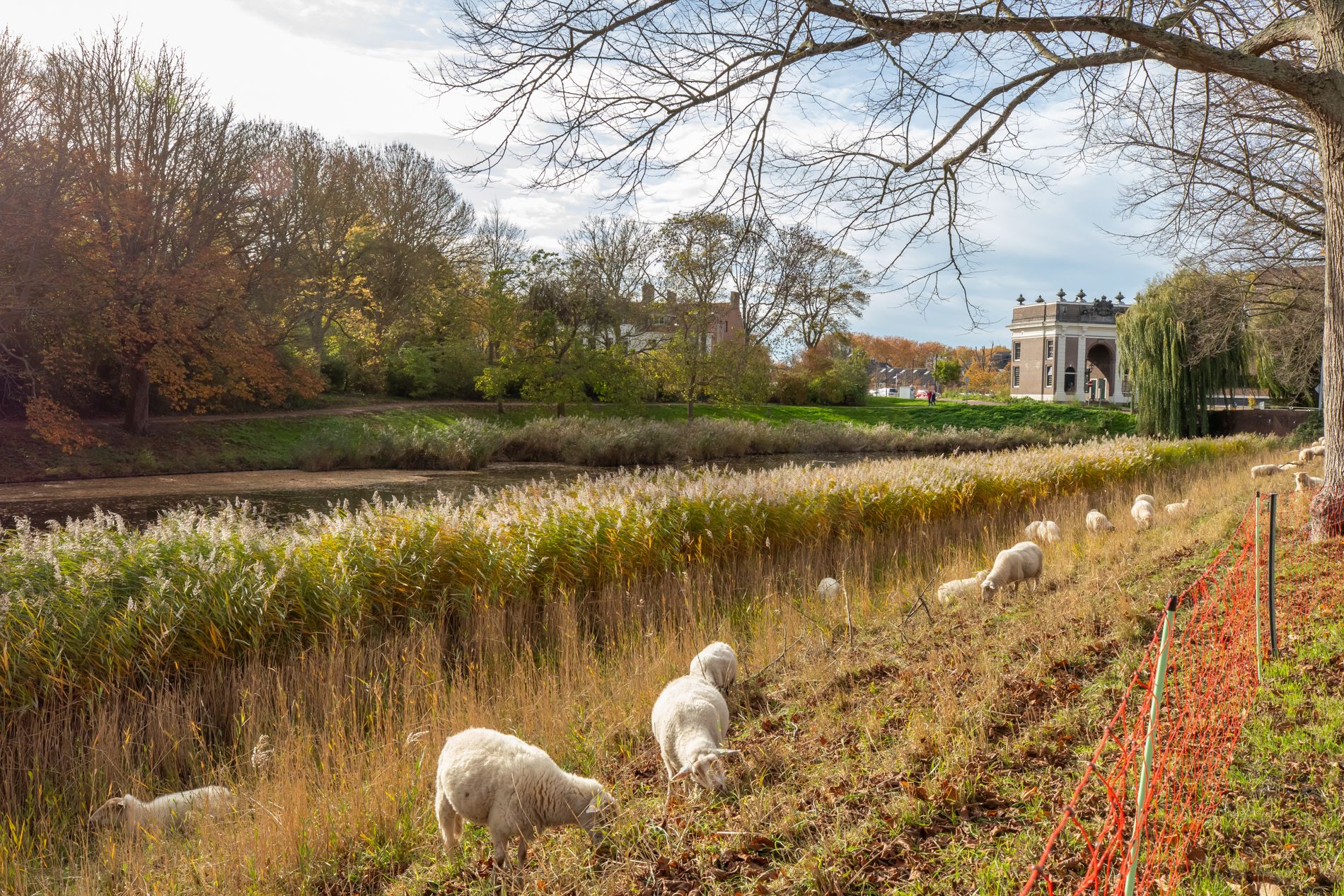 Foto 42 van Prinses Máximastraat 10