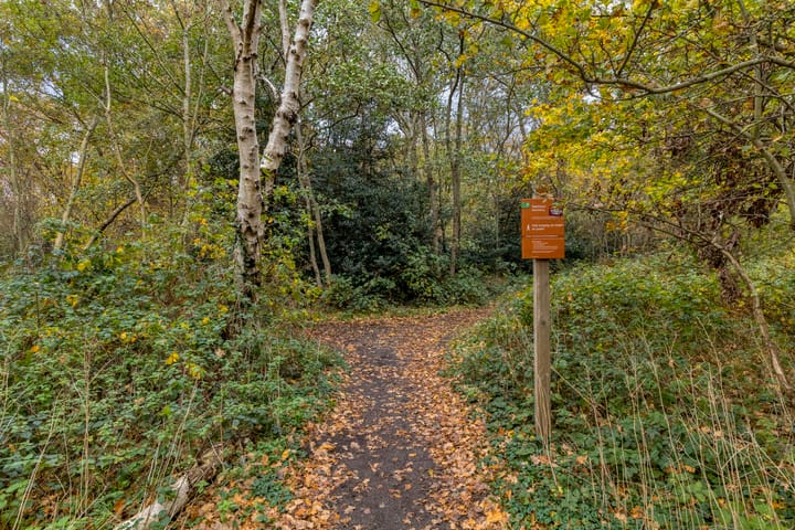 Photo 27 of Randduinweg 2