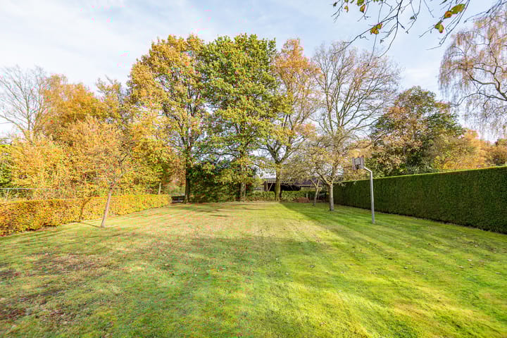 Foto 50 van Silvoldseweg 113