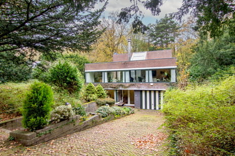 undefined main image