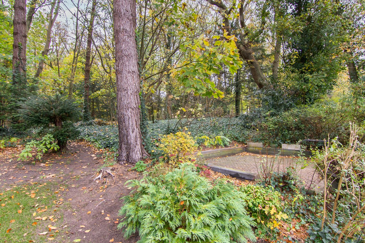 Photo 5 of Pinèllaan 11