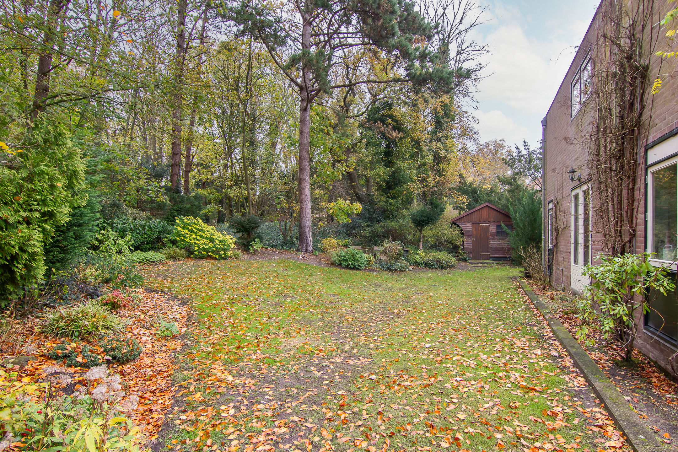 Photo 45 of Pinèllaan 11