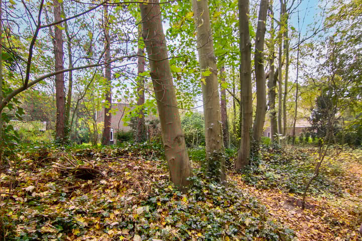 Foto 48 van Pinèllaan 11