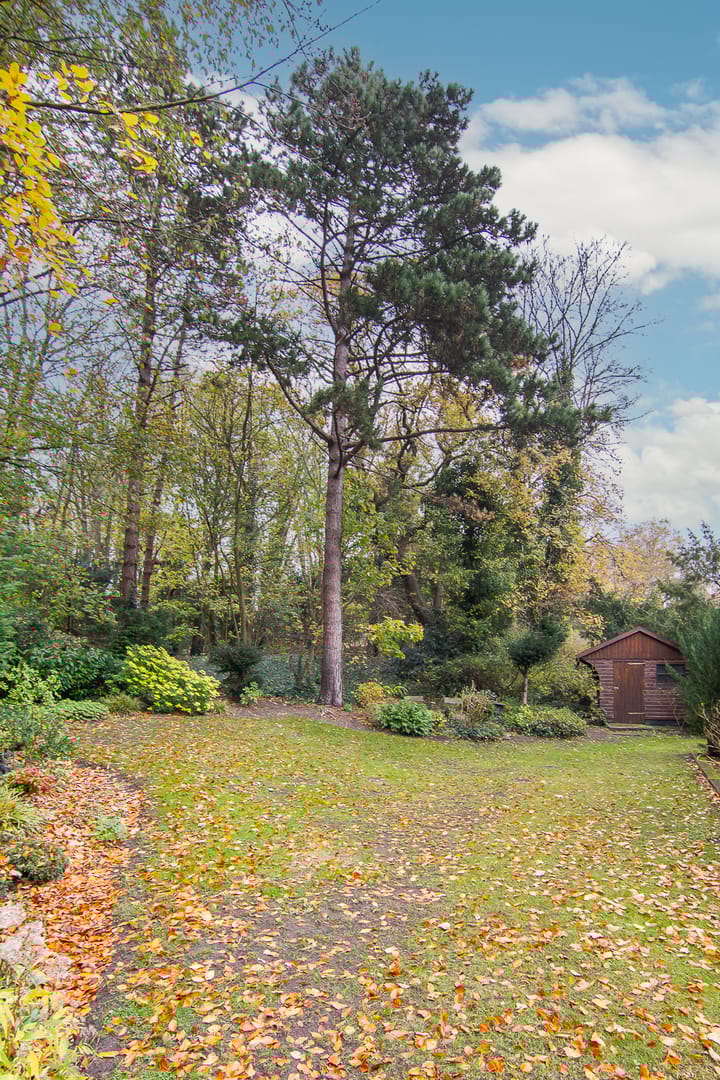 Foto 51 van Pinèllaan 11