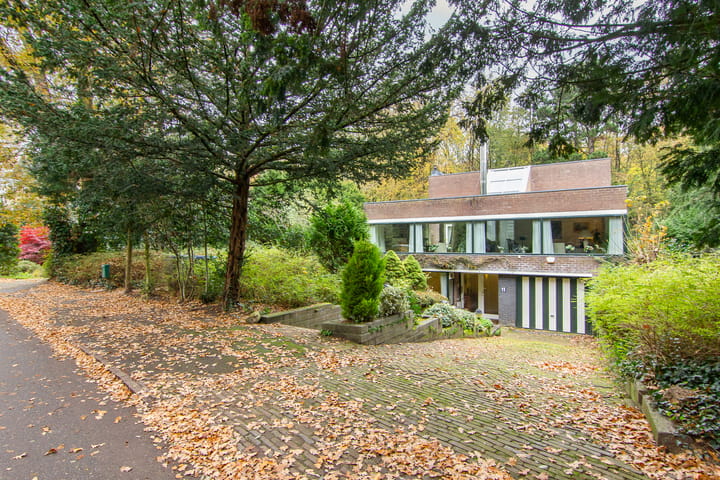 Foto 55 van Pinèllaan 11