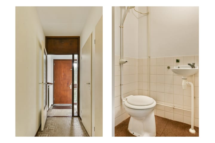 Foto 3 van Pegasusring 19