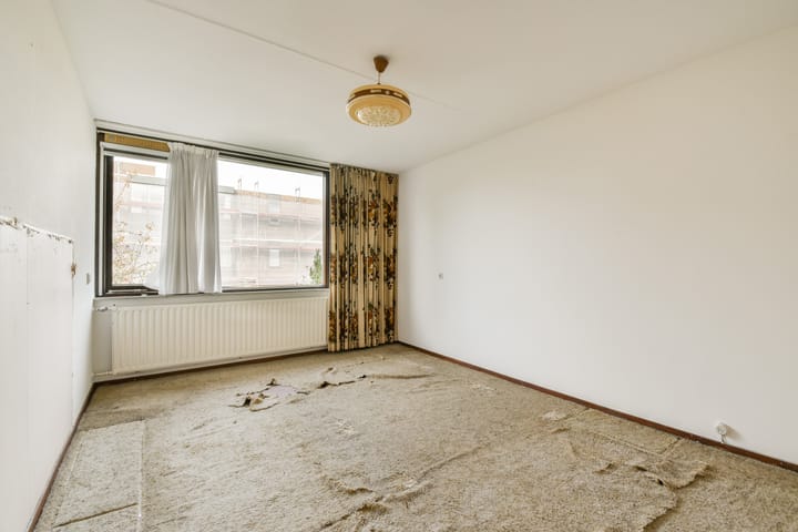 Foto 13 van Pegasusring 19