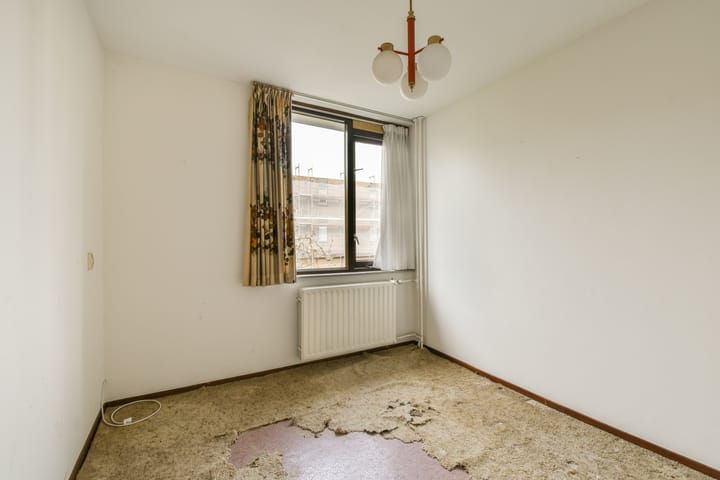 Foto 15 van Pegasusring 19