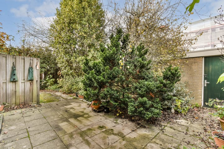 Foto 20 van Pegasusring 19