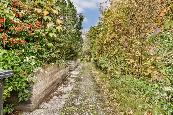 Foto 22 van Pegasusring 19