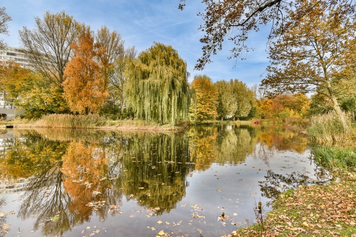 Foto 24 van Pegasusring 19