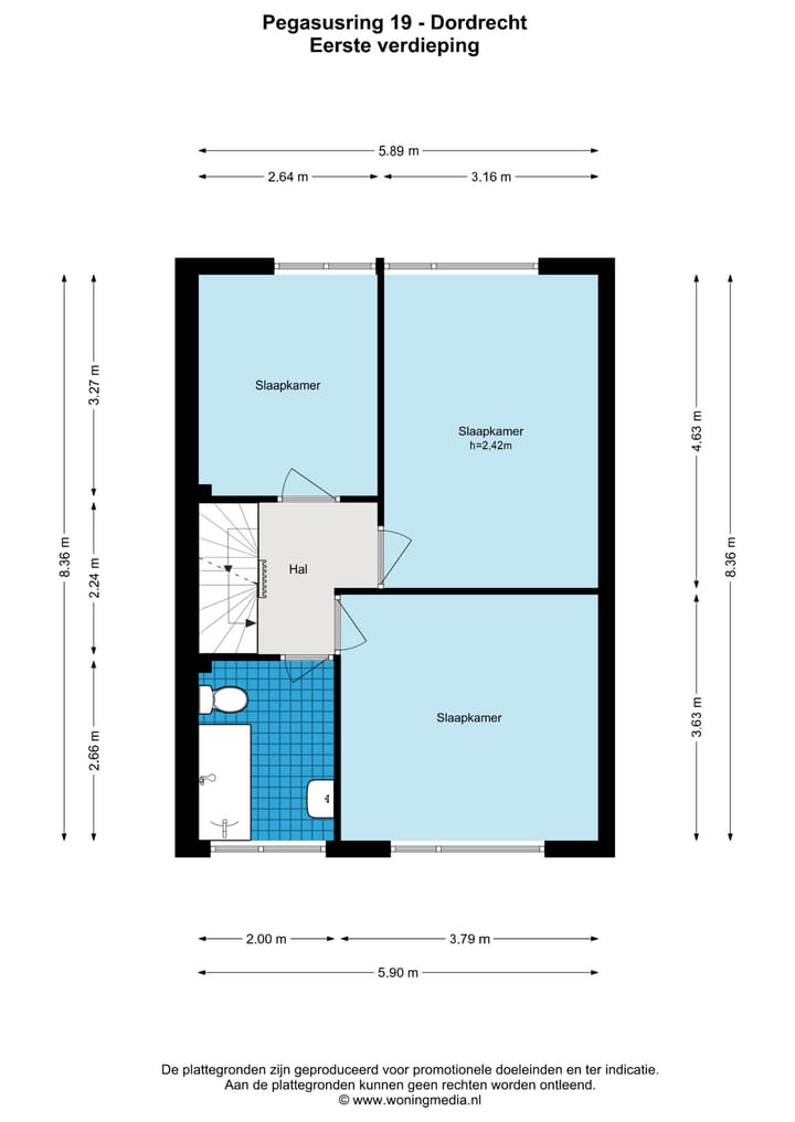 Foto 28 van Pegasusring 19