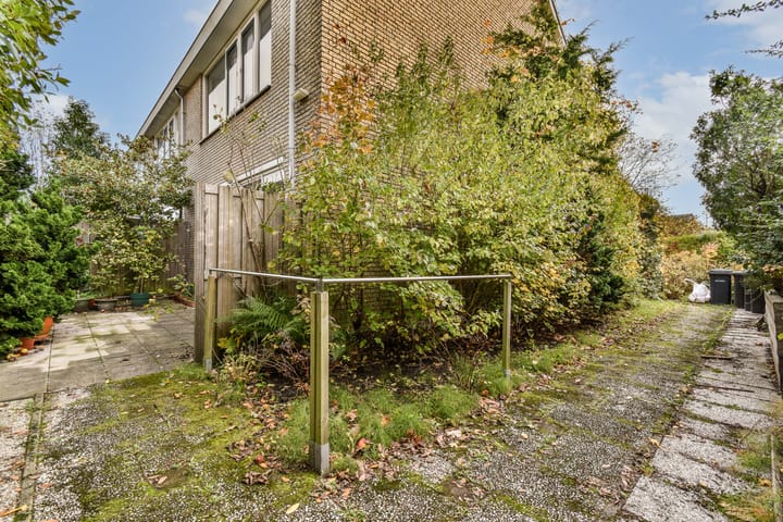 Foto 21 van Pegasusring 19