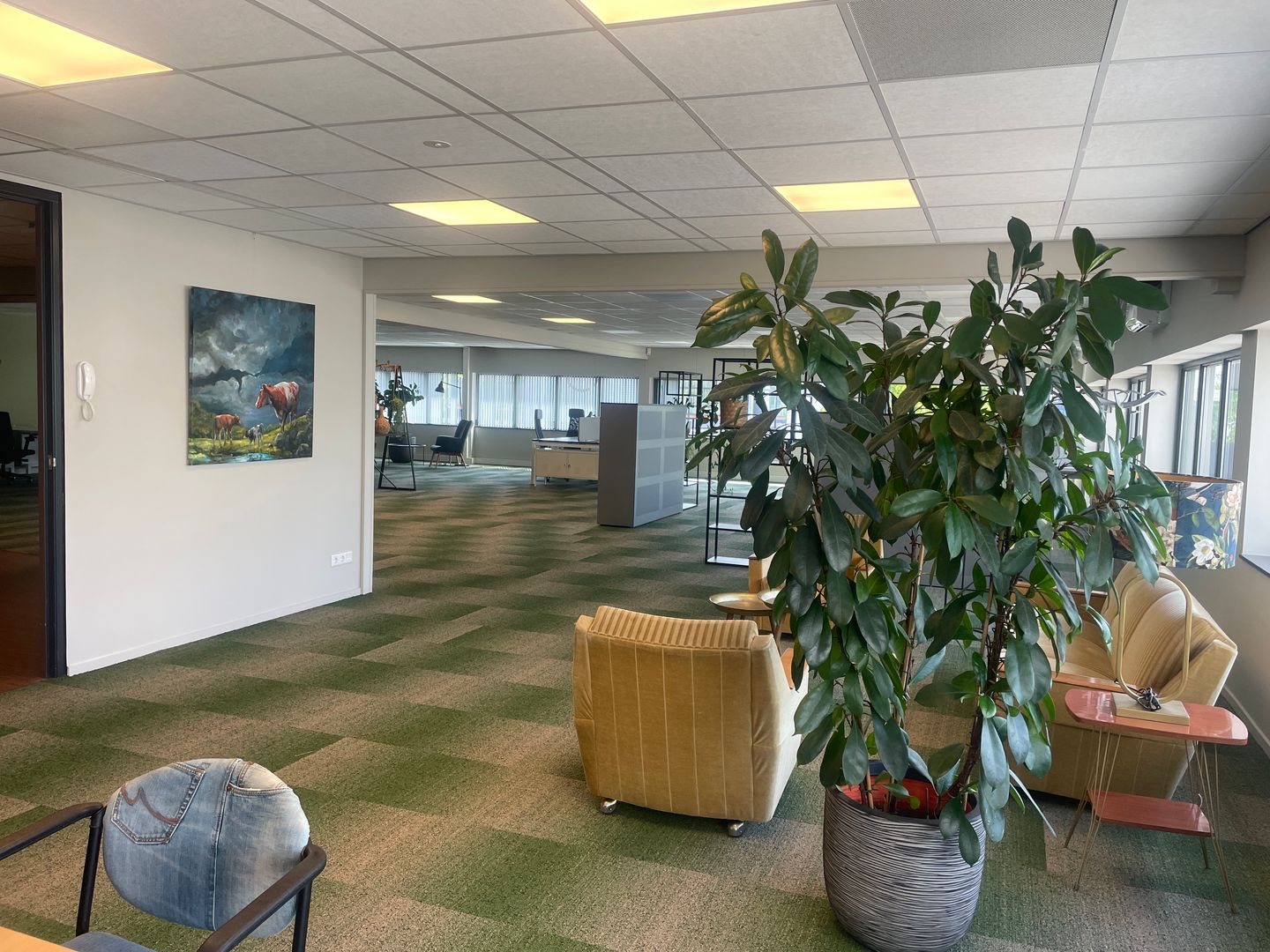 Bekijk foto 4 van 1.16 Hertenweide