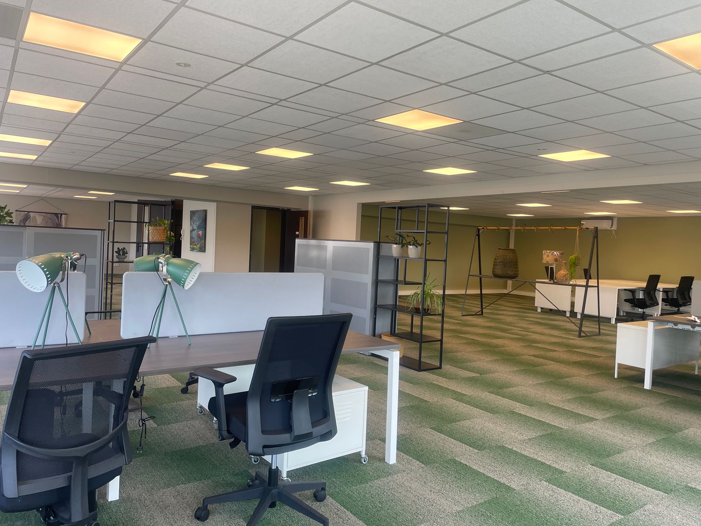 Bekijk foto 3 van 1.16 Hertenweide