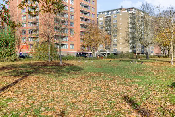 Photo 28 of Nassaustate 28