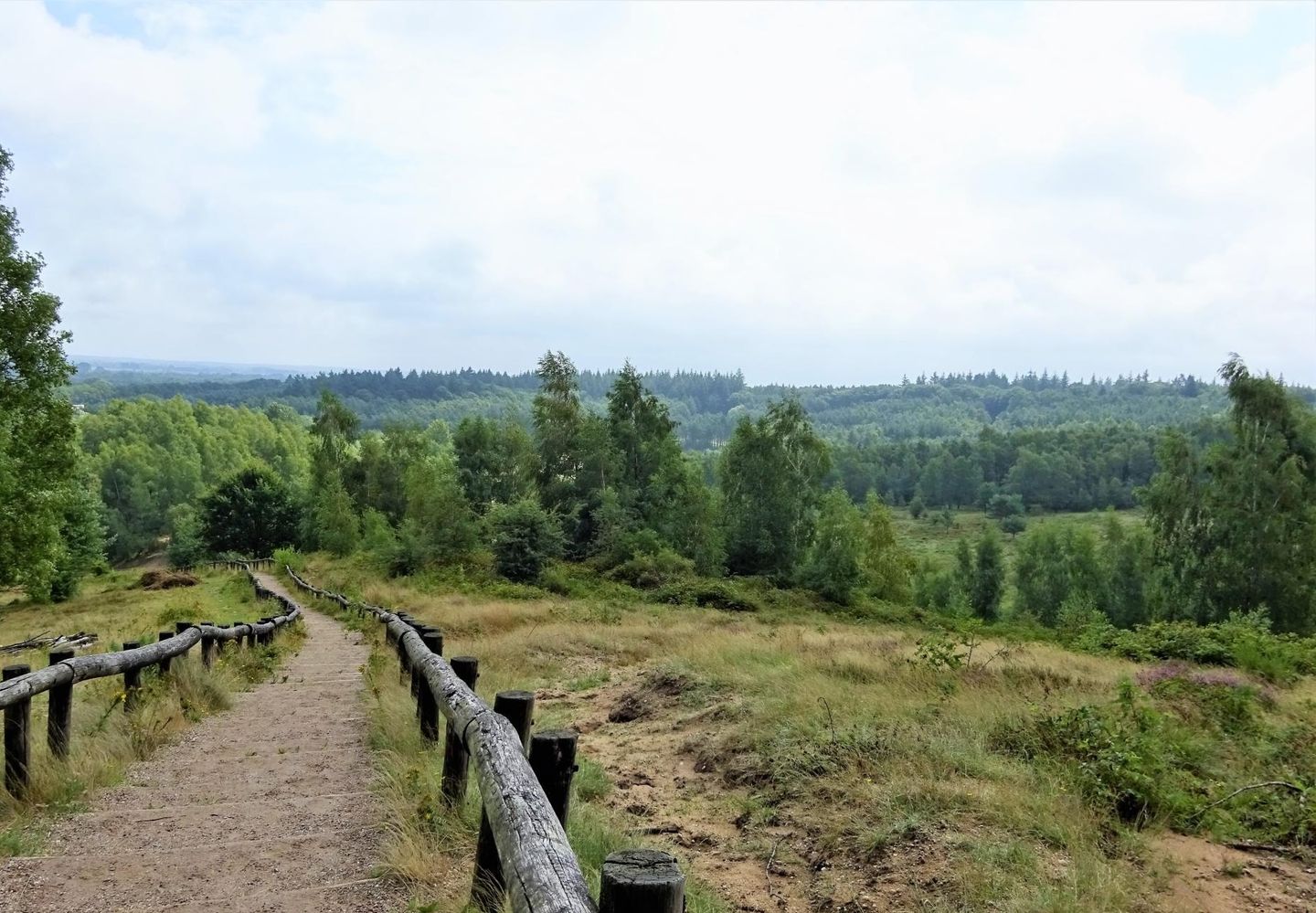 Foto 44 van Paddestoelenlaan 65